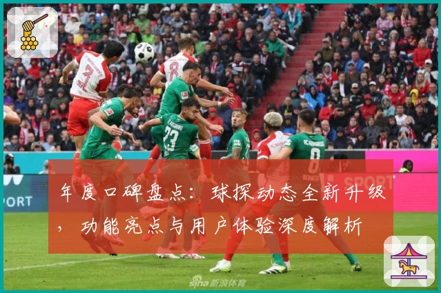 年度口碑盘点：球探动态全新升级，功能亮点与用户体验深度解析