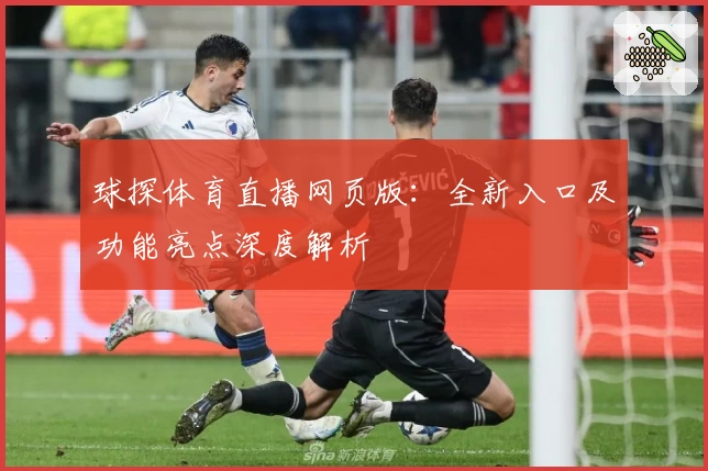 球探体育直播网页版：全新入口及功能亮点深度解析