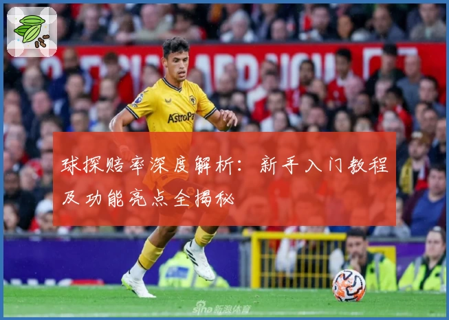 球探赔率深度解析:新手入门教程及功能亮点全揭秘